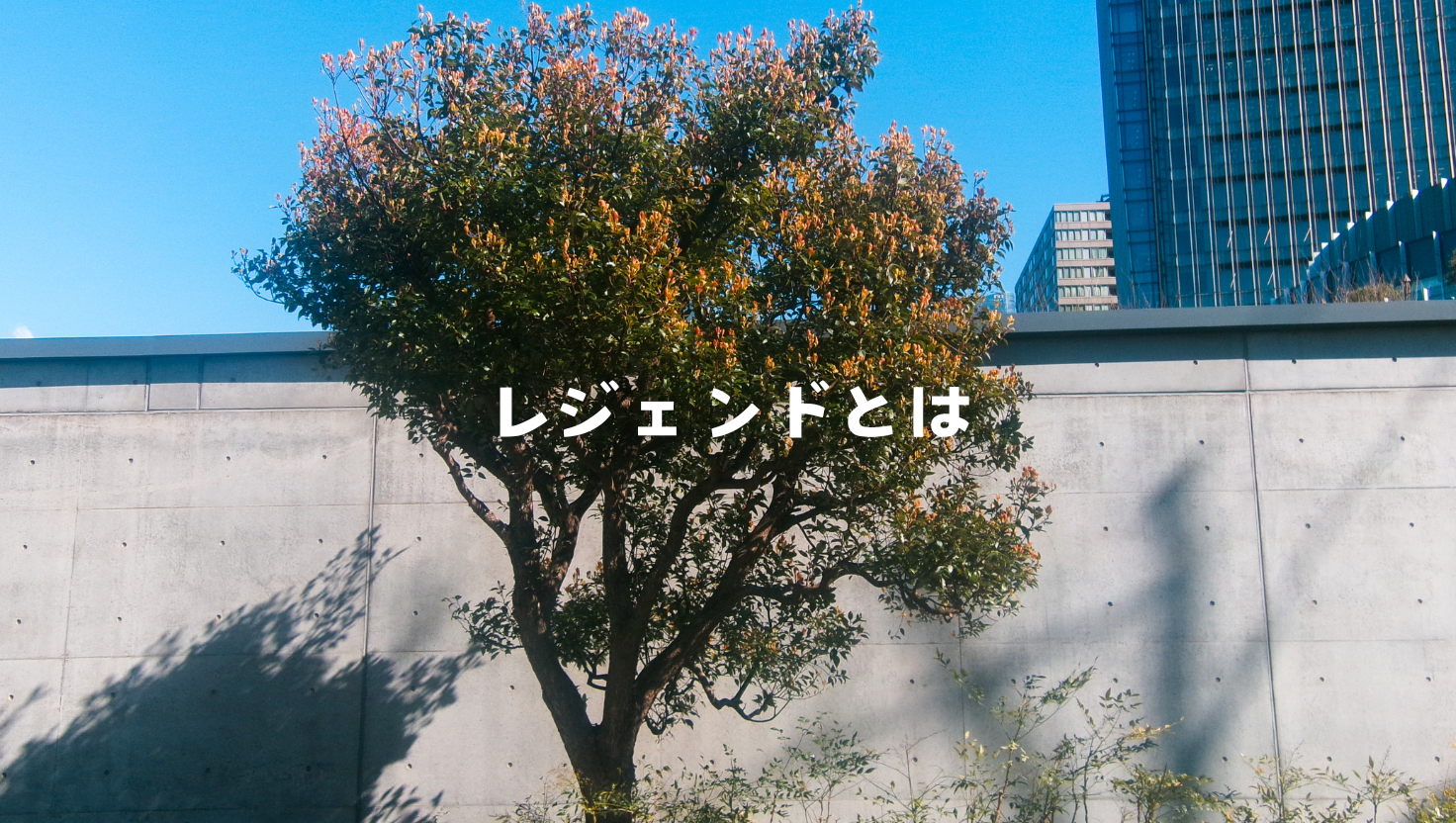 レジェンドとは？